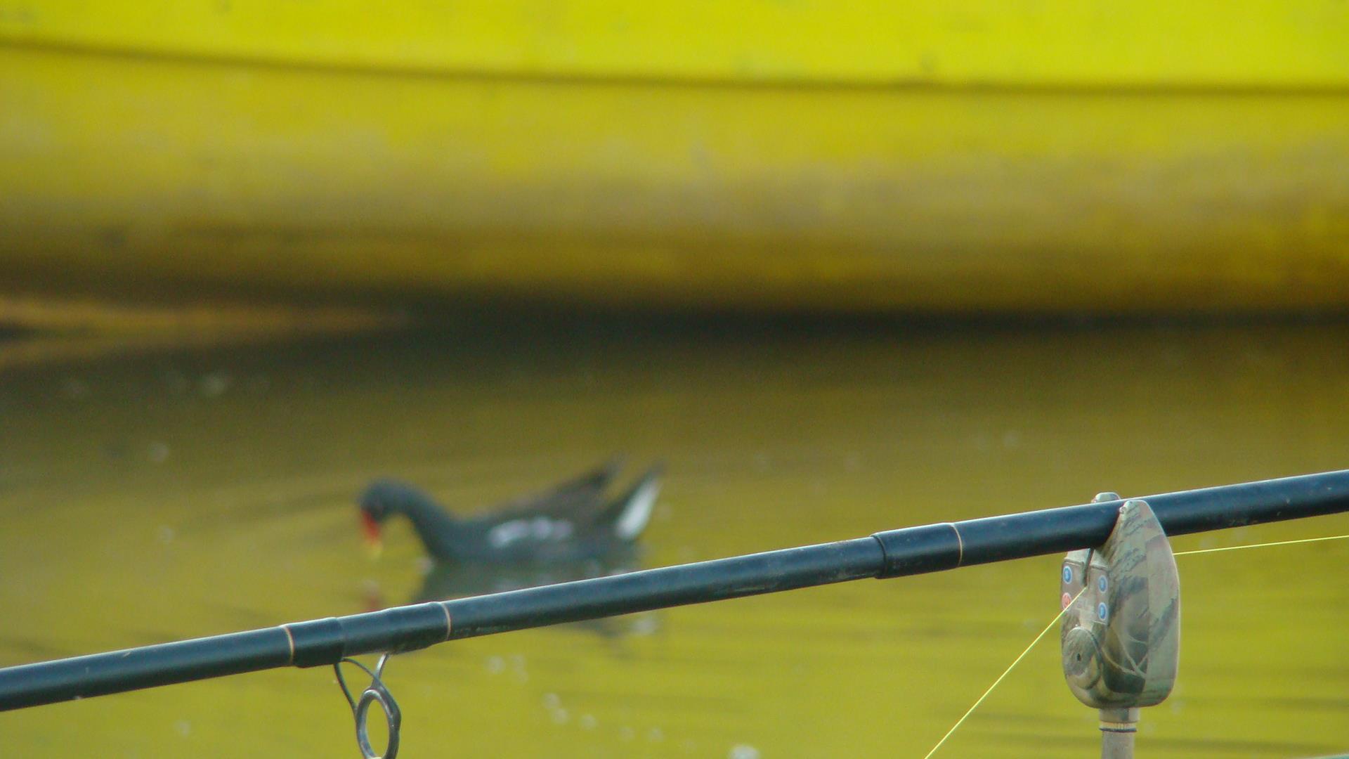 Blasova 2012 - DSC07810.JPG